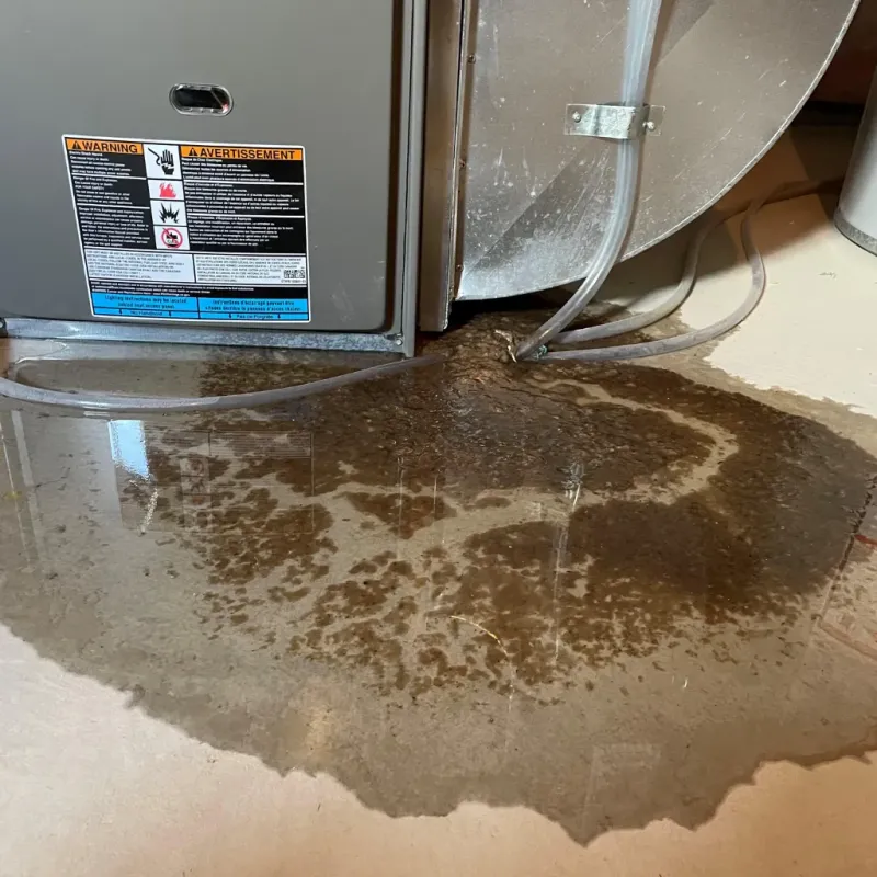 Appliance Leak Cleanup in Allen County, IN